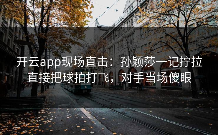 开云app现场直击：孙颖莎一记拧拉直接把球拍打飞，对手当场傻眼