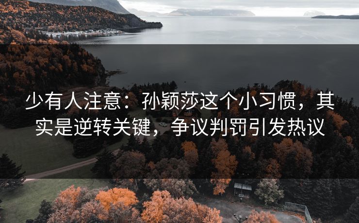少有人注意：孙颖莎这个小习惯，其实是逆转关键，争议判罚引发热议